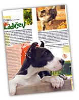 Dik's magazine debut