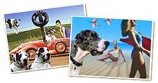 DaDane Postcard Link