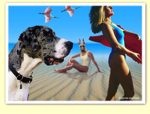 Beaches